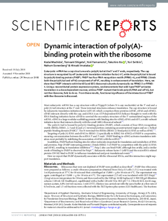 Dynamic interaction of poly(A)-binding protein with the ribosome thumbnail