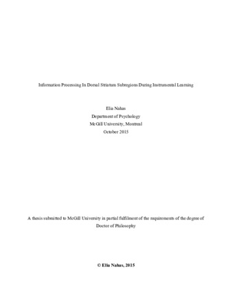 Information processing in dorsal striatum subregions during instrumental learning thumbnail