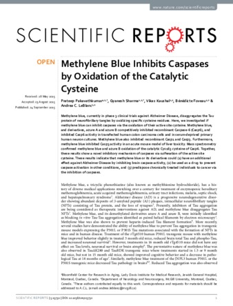 Methylene Blue Inhibits Caspases by Oxidation of the Catalytic Cysteine thumbnail