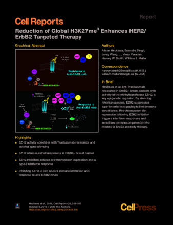 Reduction of Global H3K27me3 Enhances HER2/ErbB2 Targeted Therapy thumbnail