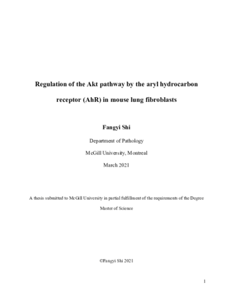 Regulation of the Akt pathway by the aryl hydrocarbon receptor (AhR) in mouse lung fibroblasts thumbnail