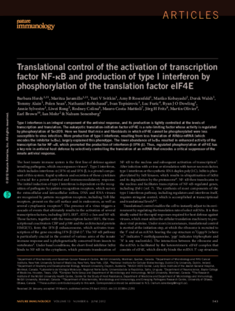 Translational control of the activation of transcription factor NF-κB and production of type I interferon by phosphorylation of the translation factor eIF4E thumbnail