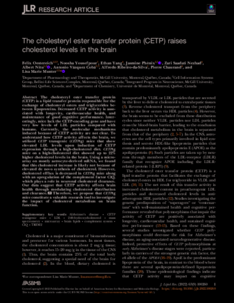 The Cholesteryl ester transfer protein (CETP) raises cholesterol levels in the brain thumbnail