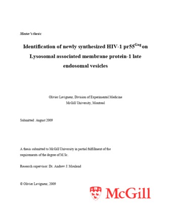 Identification of newly synthesized HIV-1 pr55gag on Lysosmal-associated membrane protein-1 late endosomal vesicles thumbnail