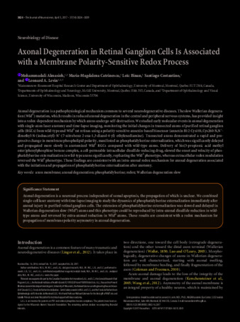 Axonal Degeneration in Retinal Ganglion Cells Is Associated with a Membrane Polarity-Sensitive Redox Process thumbnail