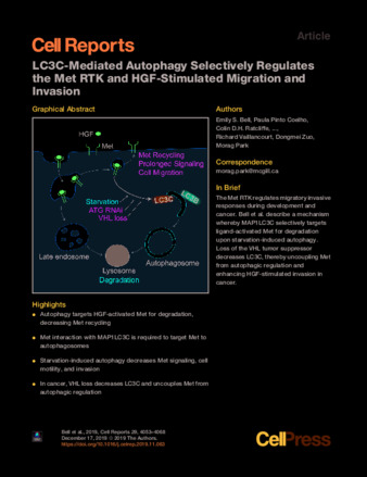 LC3C-Mediated Autophagy Selectively Regulates the Met RTK and HGF-Stimulated Migration and Invasion thumbnail