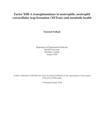 Factor XIII-A transglutaminase in neutrophils, neutrophil extracellular trap formation (NETosis) and metabolic health thumbnail
