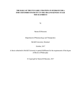 The role of the P53 family proteins in hydroxyurea induced embryotoxicity in the organogenesis stage mouse embryo thumbnail