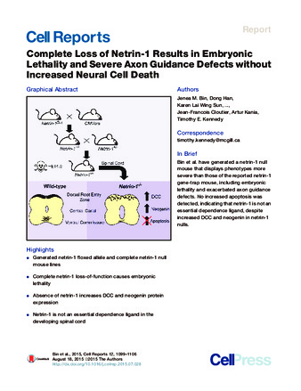 Complete Loss of Netrin-1 Results in Embryonic Lethality and Severe Axon Guidance Defects without Increased Neural Cell Death thumbnail