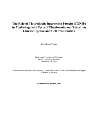 The role of Thioredoxin-interacting protein (TXNIP) in mediating the effects of phenformin and Torin1 on glucose uptake and cell proliferation thumbnail