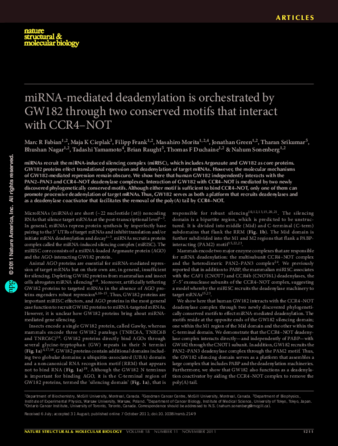 miRNA-mediated deadenylation is orchestrated by GW182 through two conserved motifs that interact with CCR4–NOT thumbnail