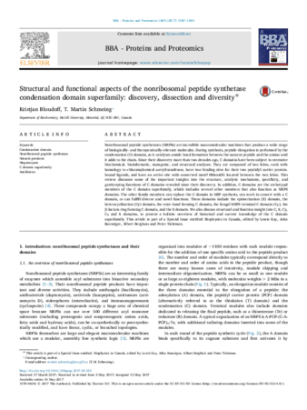 Structural and functional aspects of the nonribosomal peptide synthetase condensation domain superfamily: discovery, dissection and diversity thumbnail